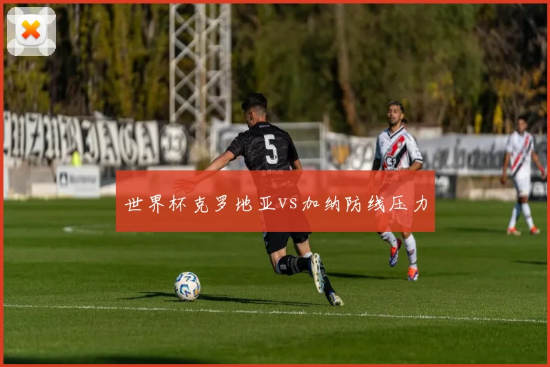 世界杯克罗地亚vs加纳防线压力