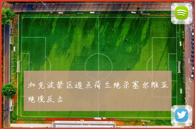 加克波禁区造点荷兰绝杀塞尔维亚绝境反击
