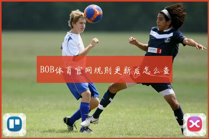 BOB体育官网规则更新后怎么查