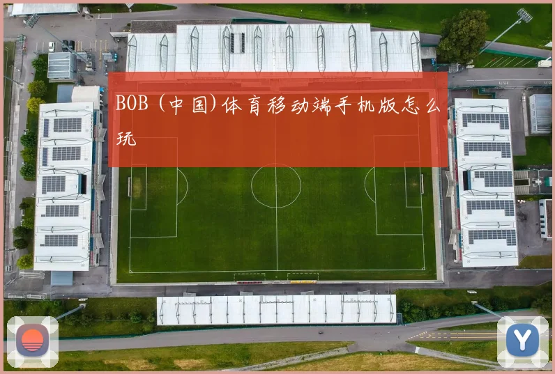 BOB (中国)体育移动端手机版怎么玩