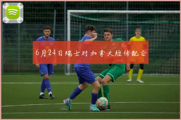 6月24日瑞士对加拿大短传配合