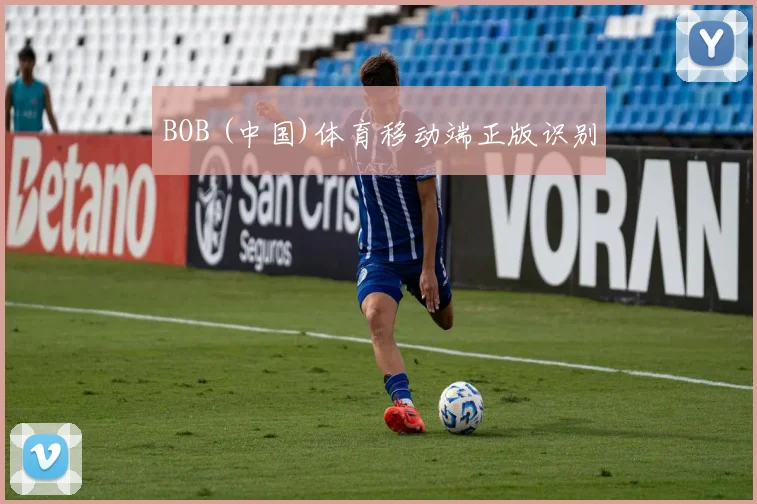 BOB (中国)体育移动端正版识别
